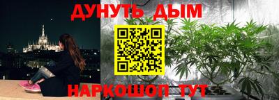 мдпв Новокубанск