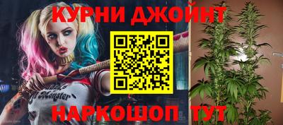 мдпв Новокубанск