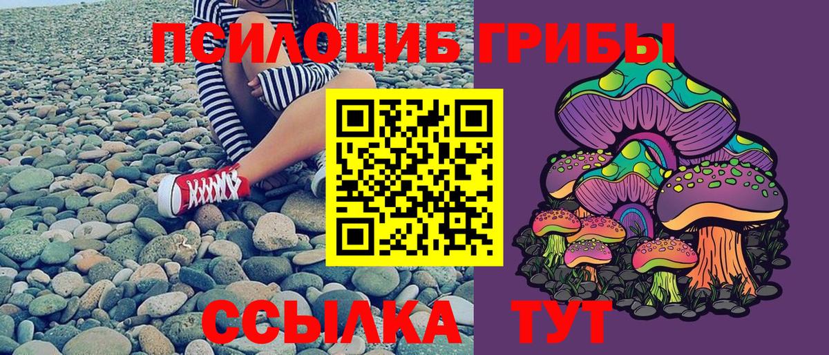 Королёв  Галлюциногенные грибы ЛСД  Псилоцибиновые грибы Cubensis  Вход с VPN 